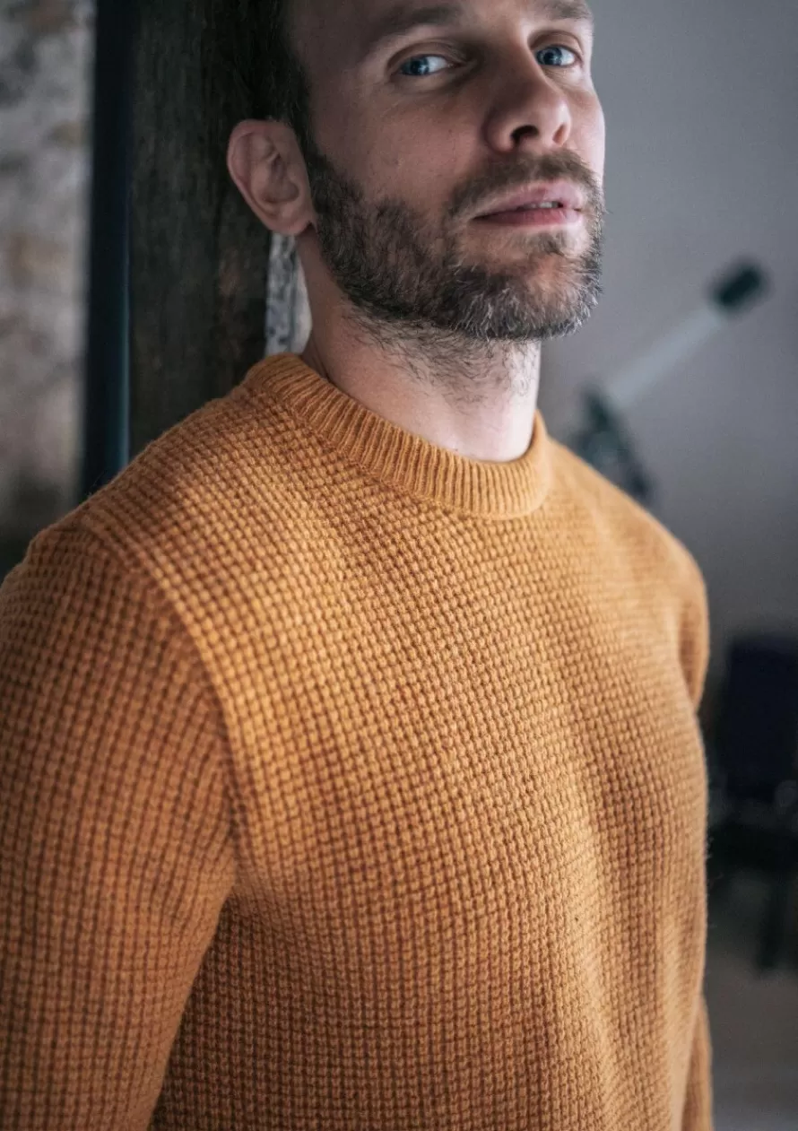 Montlimart Pulls<PULL ORIGINE Moutarde